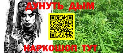 дживик Кингисепп