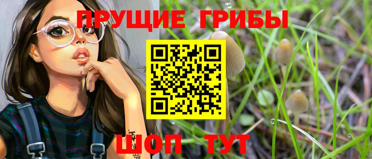 Псилоцибиновые грибы мухоморы  Вход с VPN  Кувандык  Псилоцибиновые грибы Magic Shrooms 